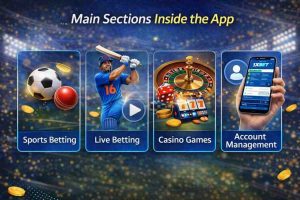 1xbet_app_sections
